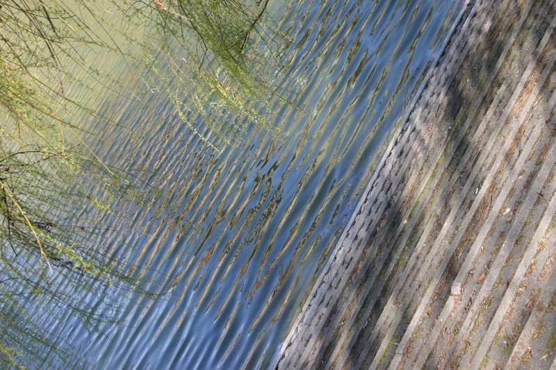 Steps and waves