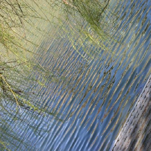 Steps and waves