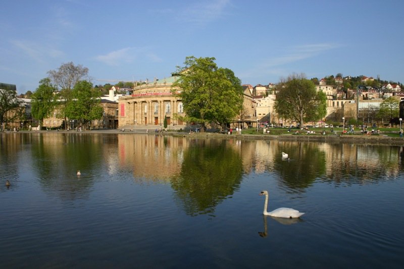 Swan lake