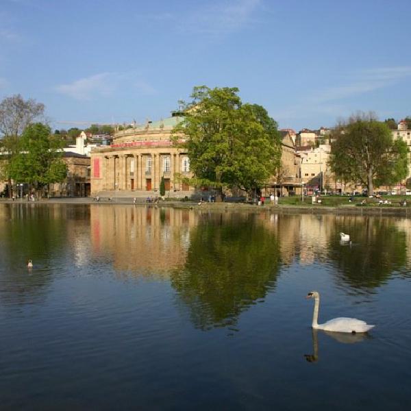 Swan lake