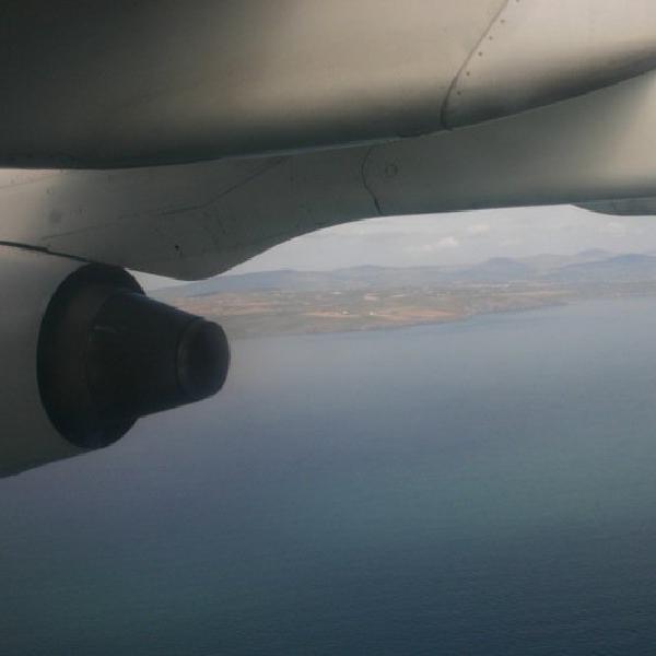 Under the wing
