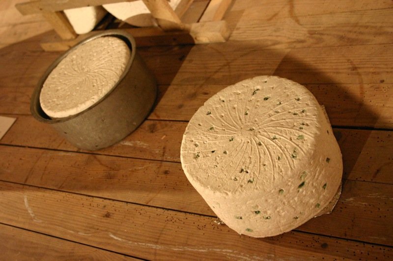 Fake Roquefort cheese