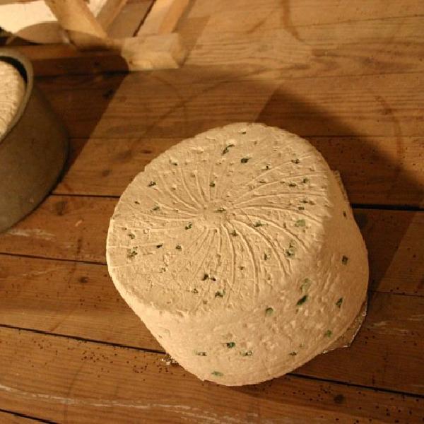 Fake Roquefort cheese