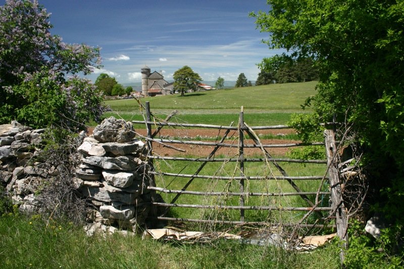 Gateway to the field