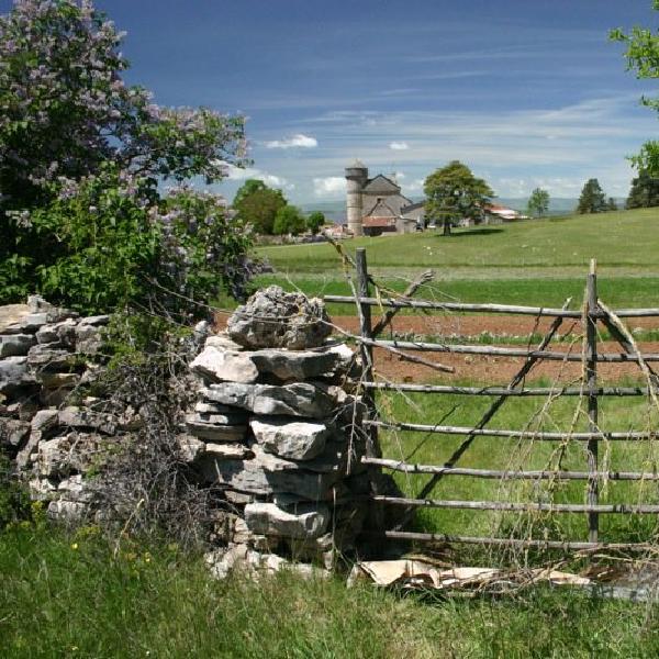 Gateway to the field