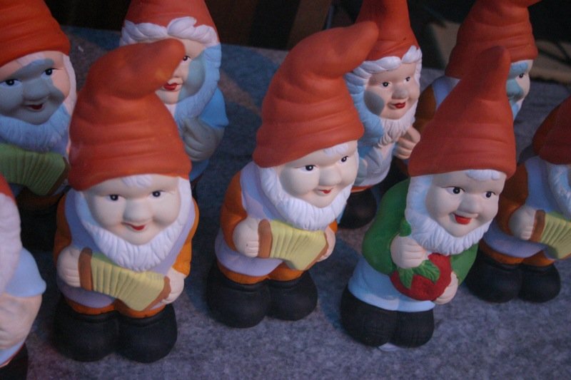 Gathering of gnomes