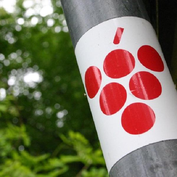 Marking the way