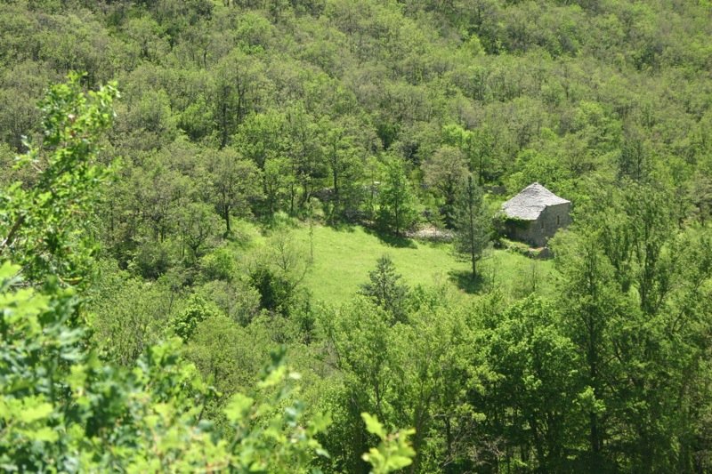 Seclusion