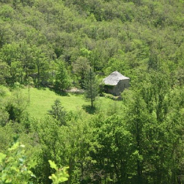 Seclusion