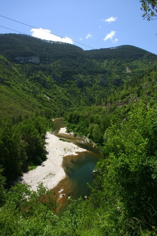 The River Tarn