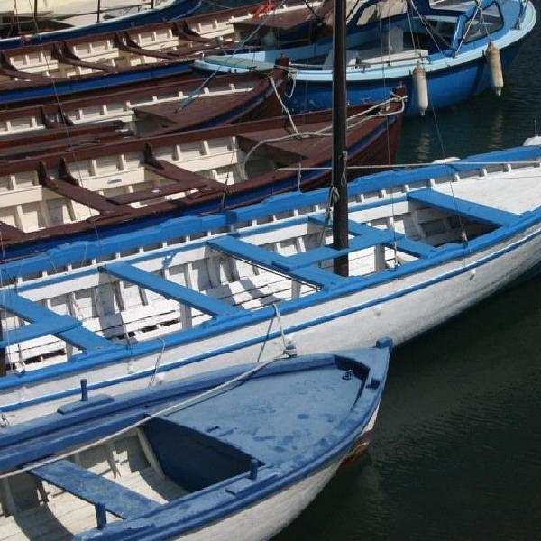 Boats in the marina
