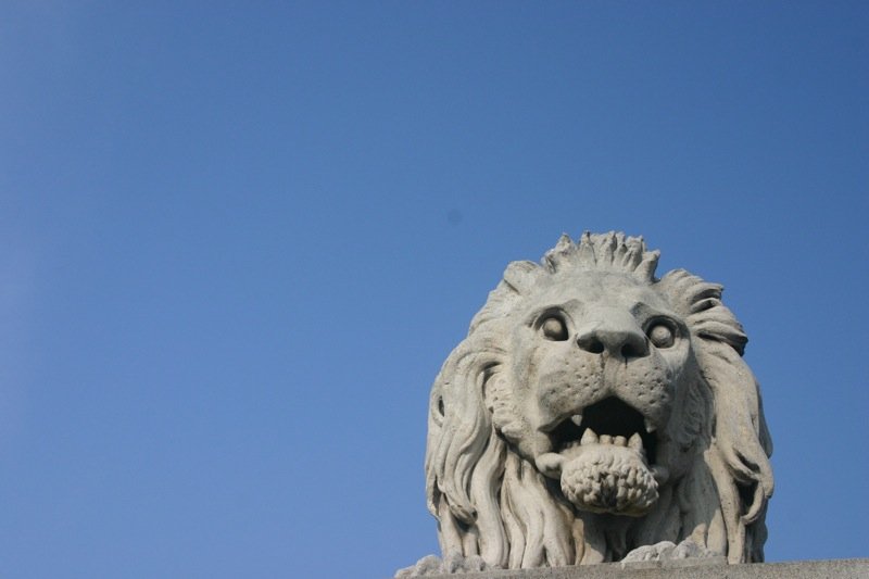 Guarding the bridge