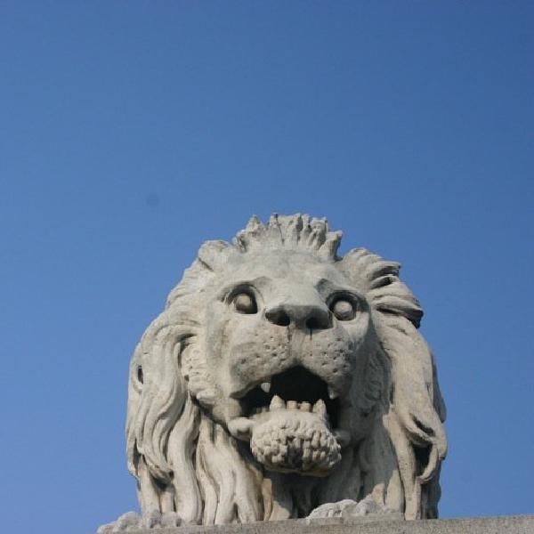 Guarding the bridge