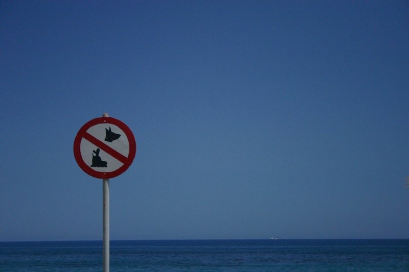 No rollerblading dogs allowed