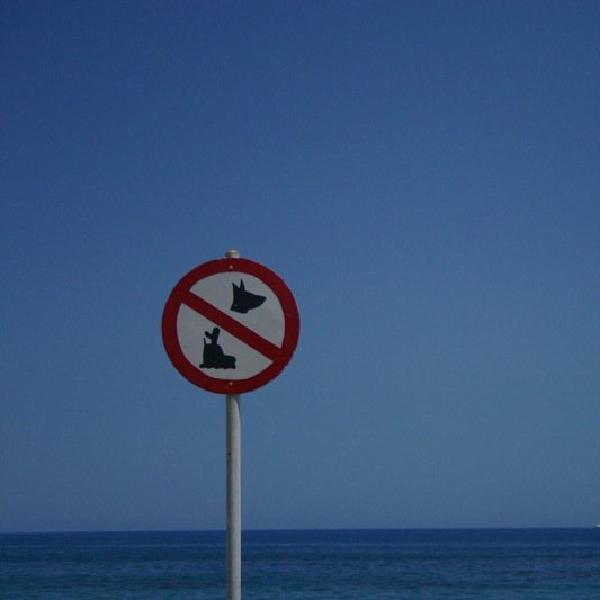 No rollerblading dogs allowed