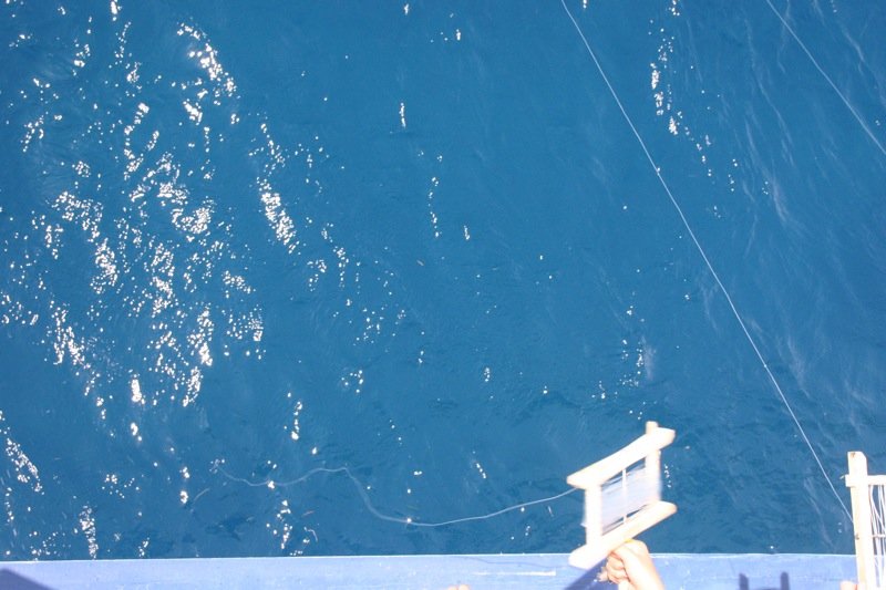Octopus fishing