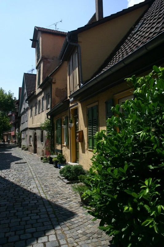 Backstreet