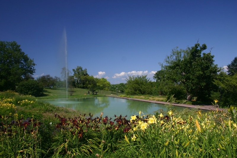 Fountain in the park
