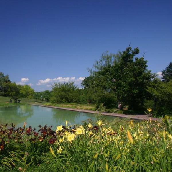 Fountain in the park