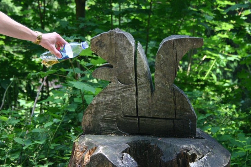 Giving the squirrel a drink