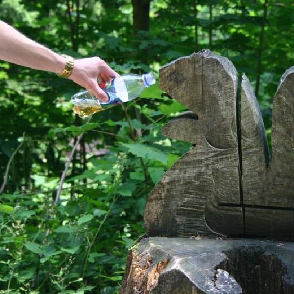 Giving the squirrel a drink