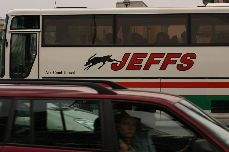 Jeffs coaches