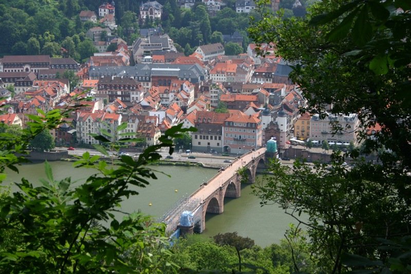 Looking down on Heidelberg