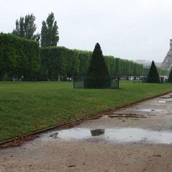 Puddles in Paris