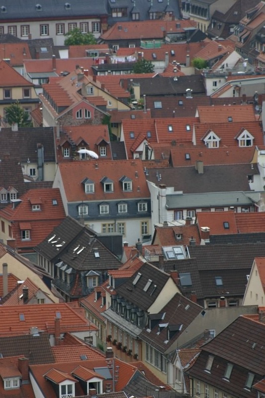 Roofscape