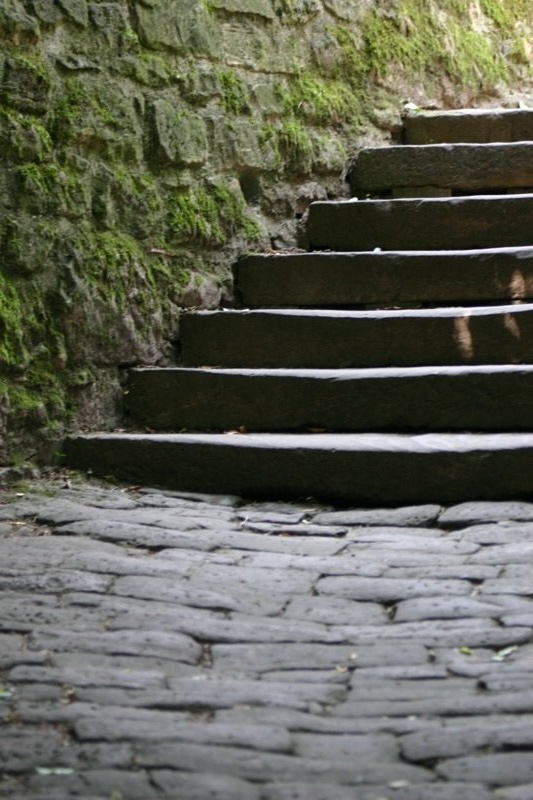Steps