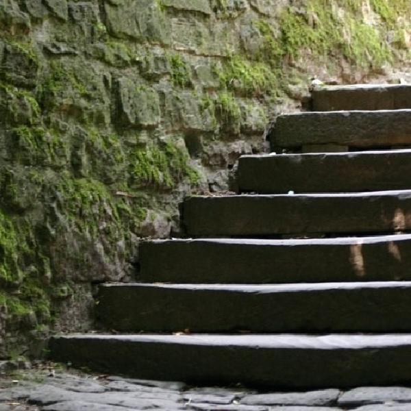 Steps