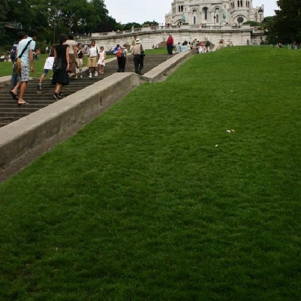 Steps to Montmartre
