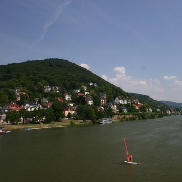 Surfing in the Neckar