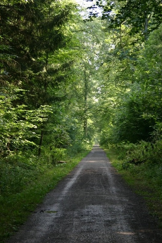 The path ahead