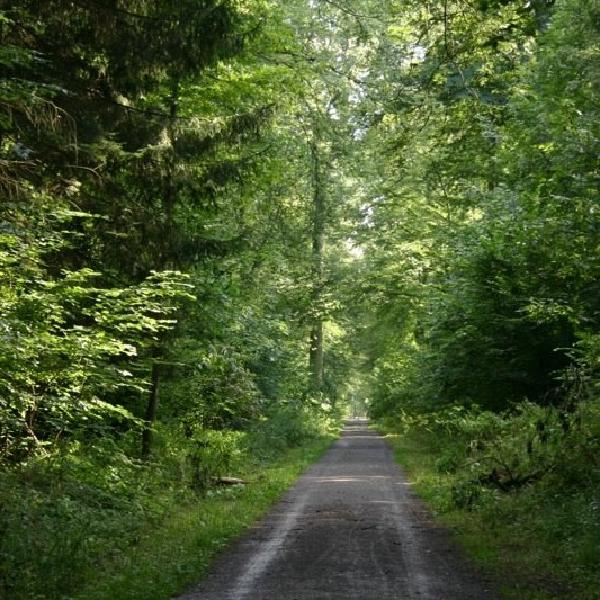 The path ahead