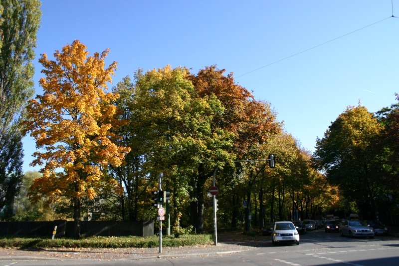 Autumn colours