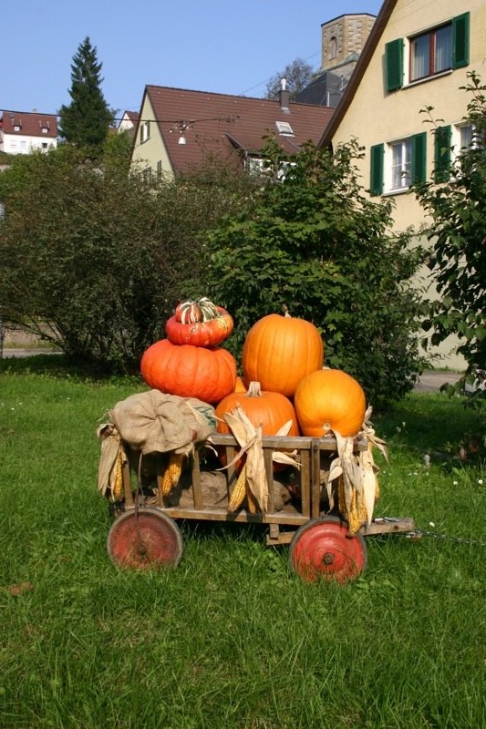 Pumpkin' on the bandwagon