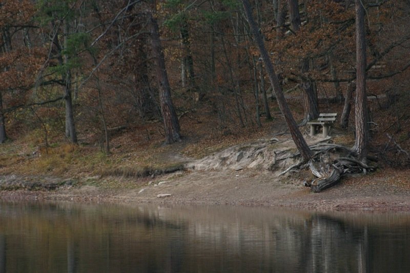 A tranquil setting