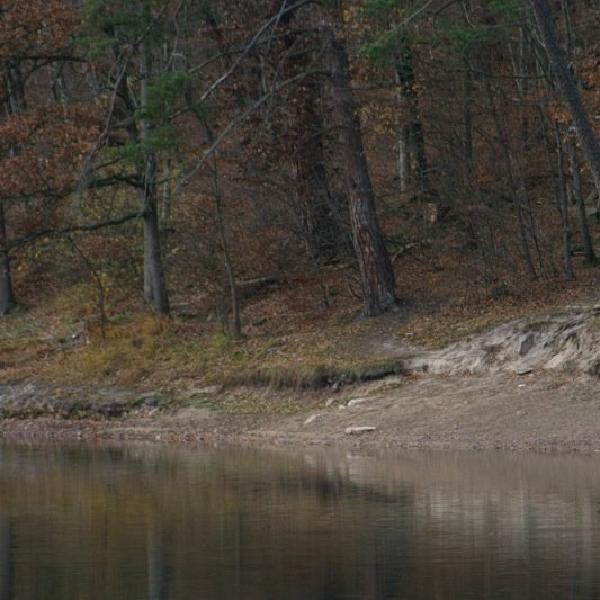 A tranquil setting
