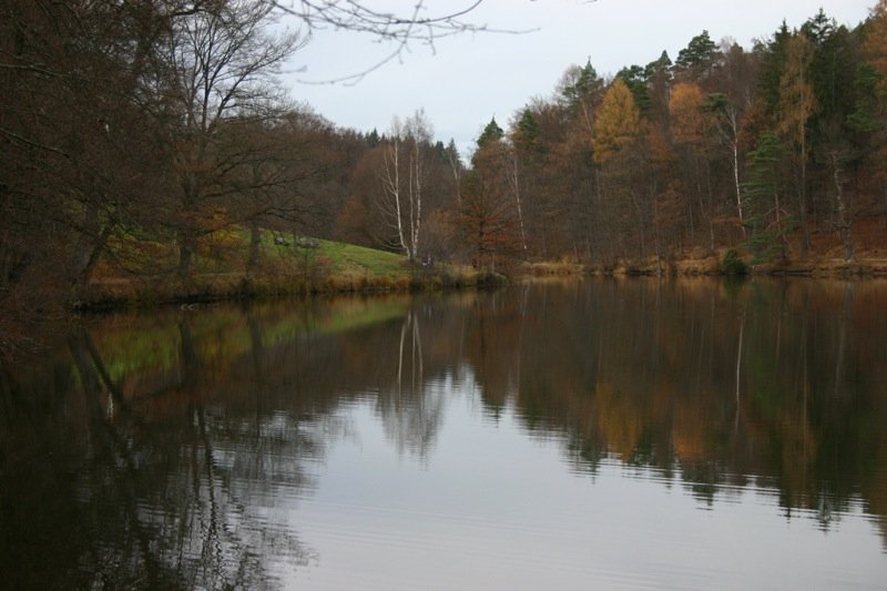 Last of the leaves