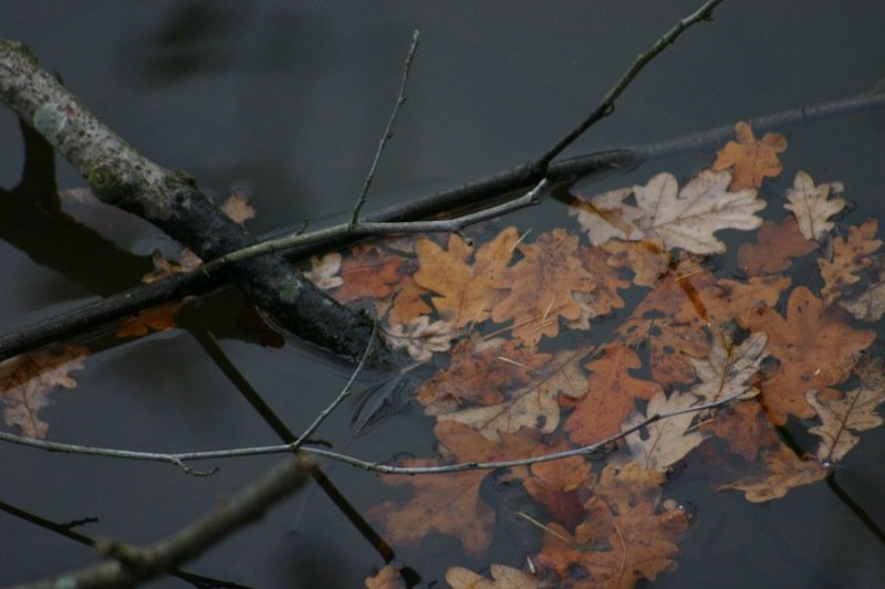 On the surface