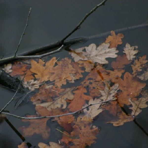On the surface