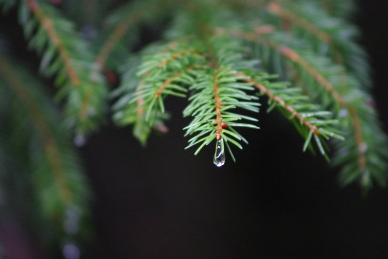 Droplet