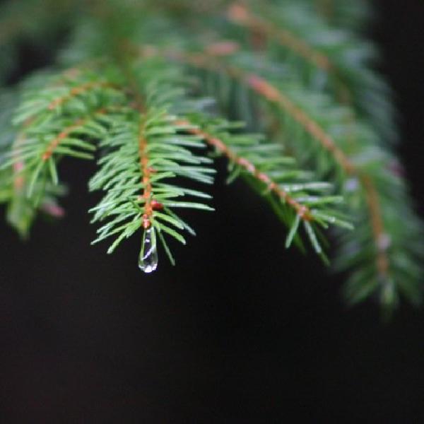 Droplet