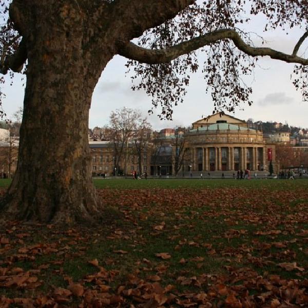 Fallen leaves in Schlossgarten