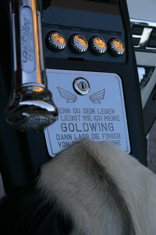 Goldwing protection