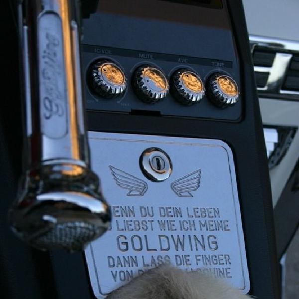 Goldwing protection