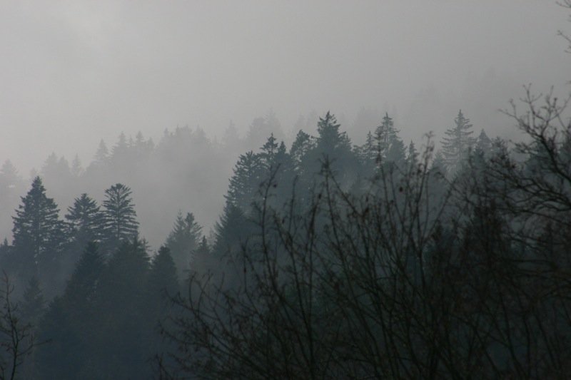 Layered trees