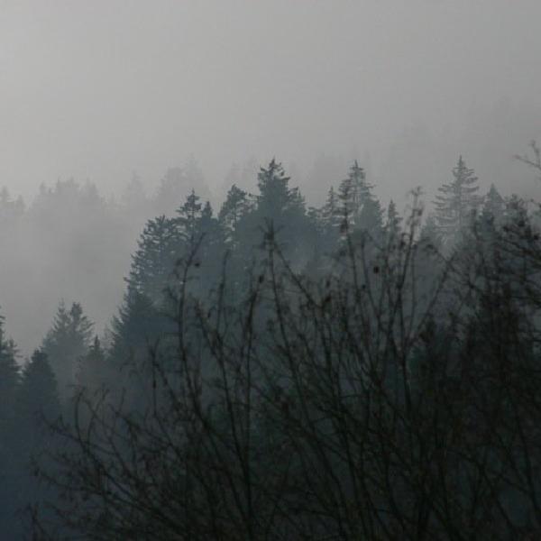 Layered trees