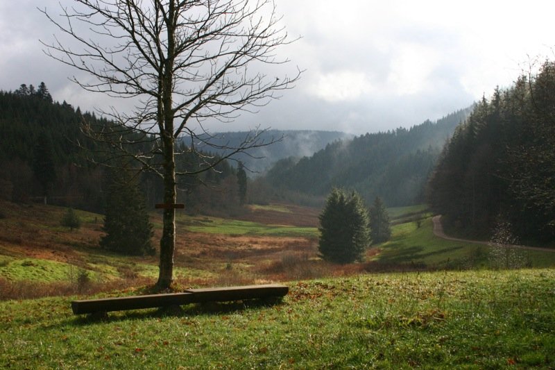 Looking down the valley from Karlsquelle